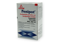 PENIPOT SOL INY 800 000UI C/1