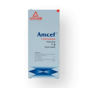 AMCEF I.V. SOL INY 1G 10ML C/1