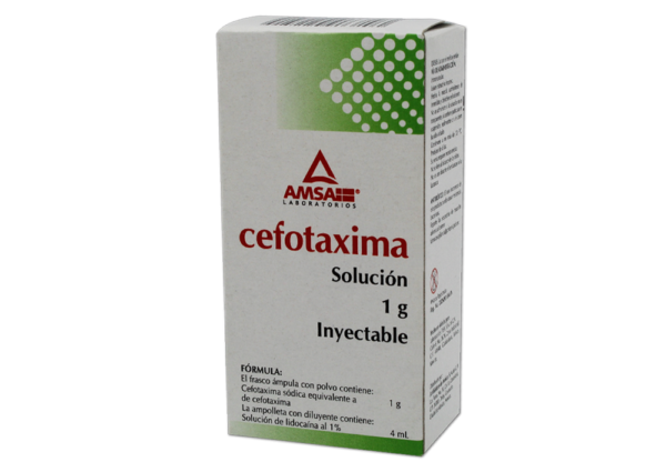 CEFOTAXIMA 1G (FOTEXINA IM) 1FCO SOL IM